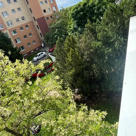 Apartment Comfort X-bionic Center *