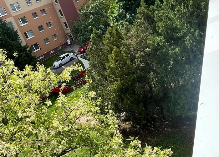 Apartmán Comfort X-bionic Center *